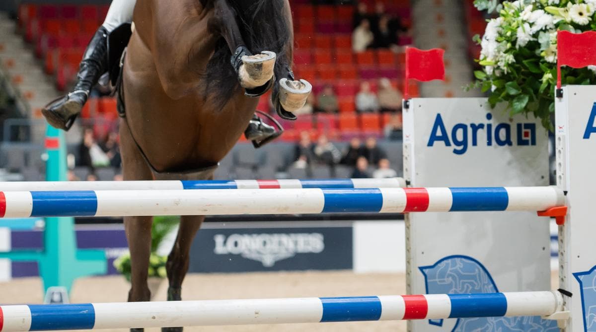 Häst stängs av efter stoppad dopingprovtagning