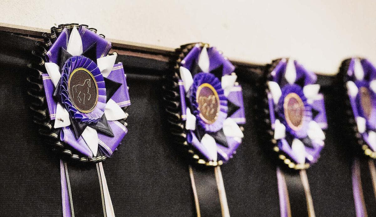 Ny satsning ska lyfta svensk ponnydressyr