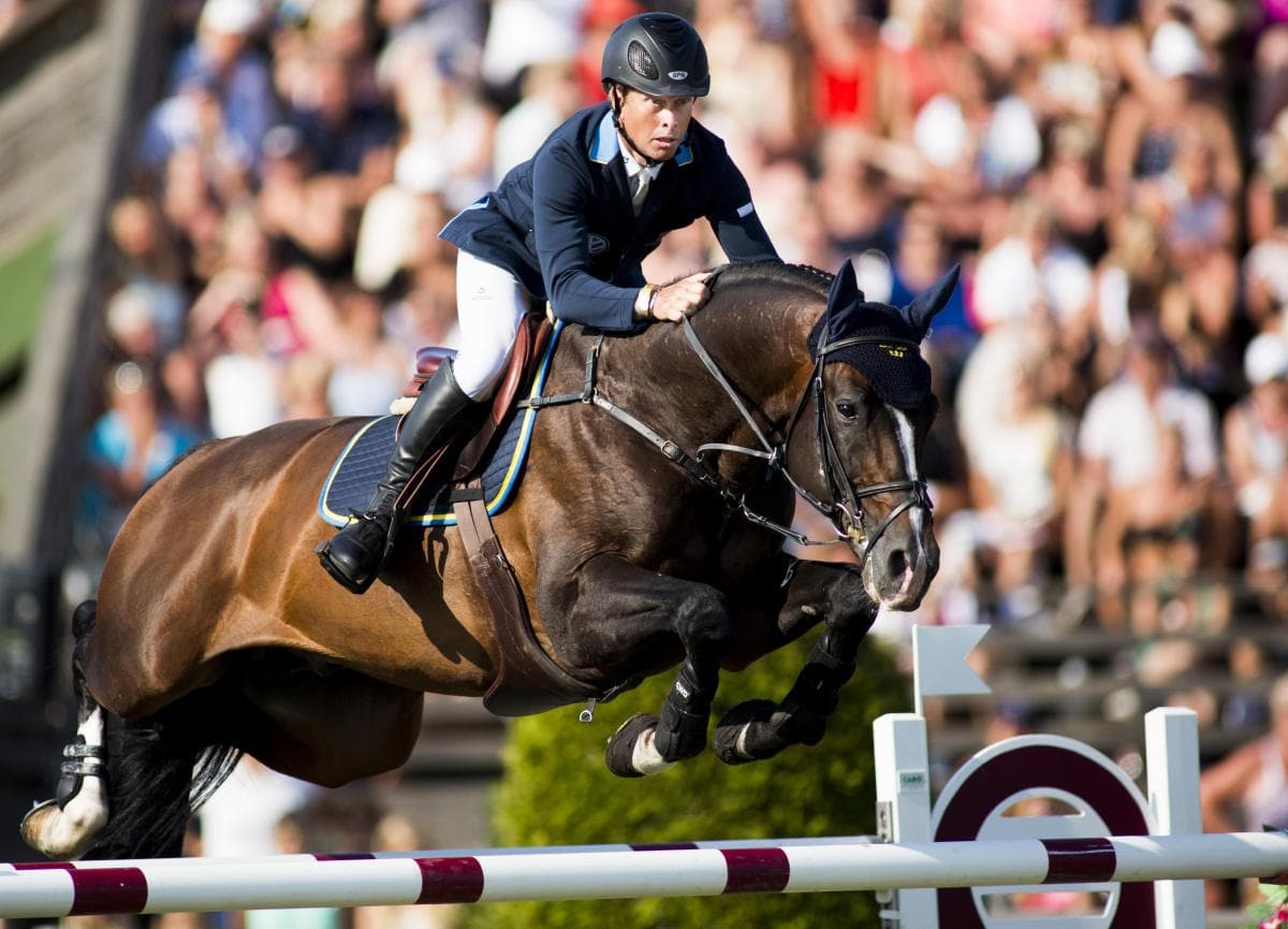 Casall bland världens mest inflytelserika hopphingstar