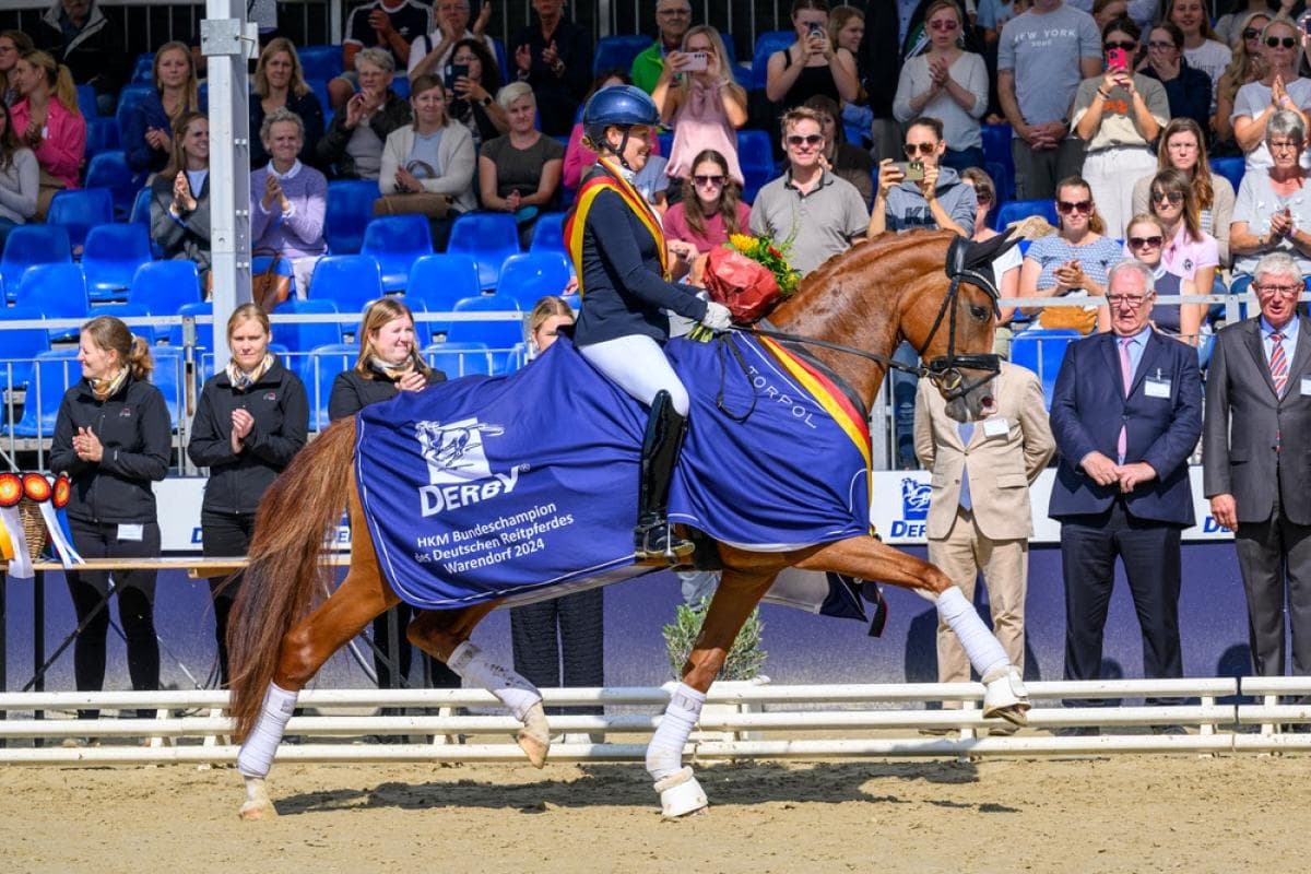 Sina Aringer testryttare i Breeders Trophy-finalen