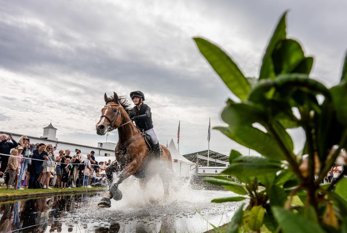 Jenny Glebenius vinner årets SM-guld i fälttävlan
