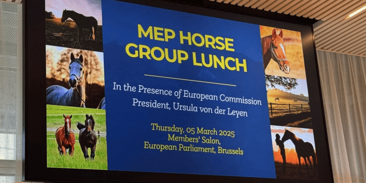 Lunchmöte i EU-parlamentet
