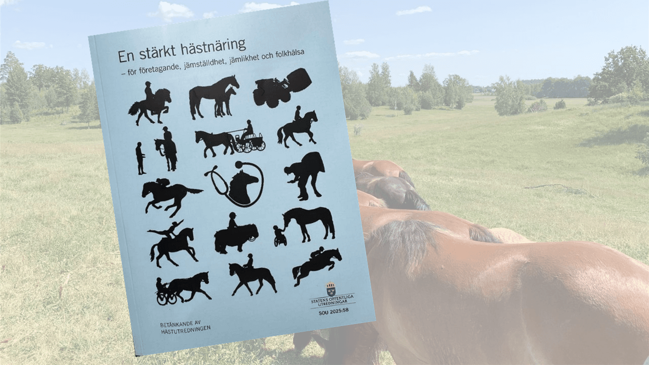 Remissyttrande över betänkande ”En stärkt hästnäring”
